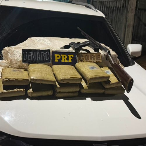 Operação apreende 125 quilos de skunk avaliados em mais de R$ 2 milhões e prende dois homens em flagrante