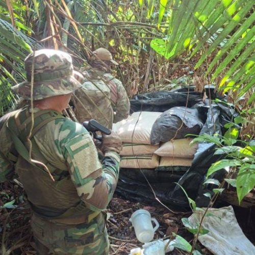 PF e polícia peruana destroem laboratórios e pistas usadas pelo tráfico na região de Loreto