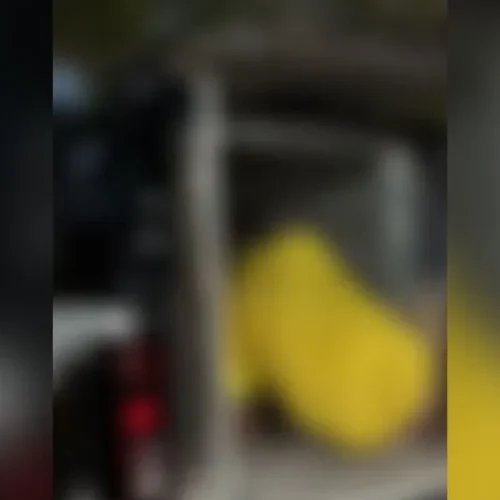Homem é preso após denúncia de violência sexual contra criança de 5 anos em Presidente Figueiredo
