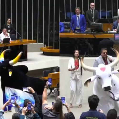 Homenagem aos bois Caprichoso e Garantido ocorreu nesta terça-feira (12), na Câmara dos Deputados. — Foto: Fernando Fonseca
