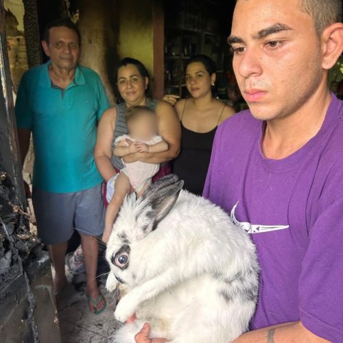 Coelha de estimação salva família de incêndio na zona Sul de Manaus