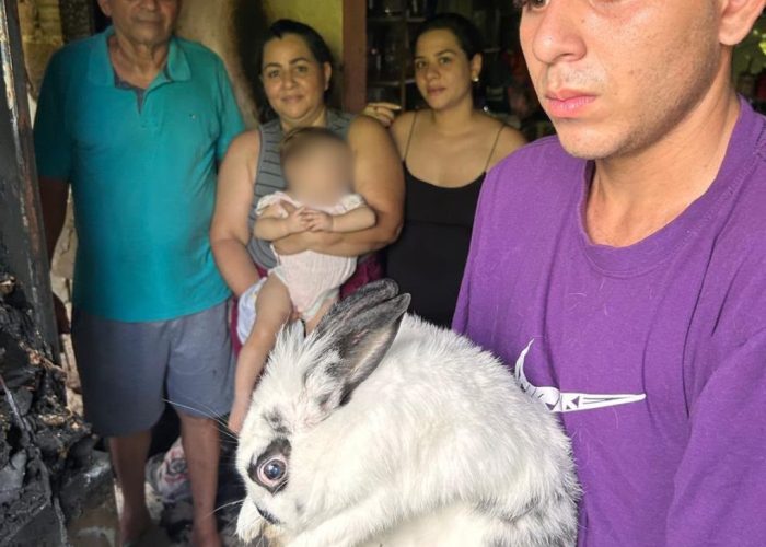 Coelha de estimação salva família de incêndio na zona Sul de Manaus