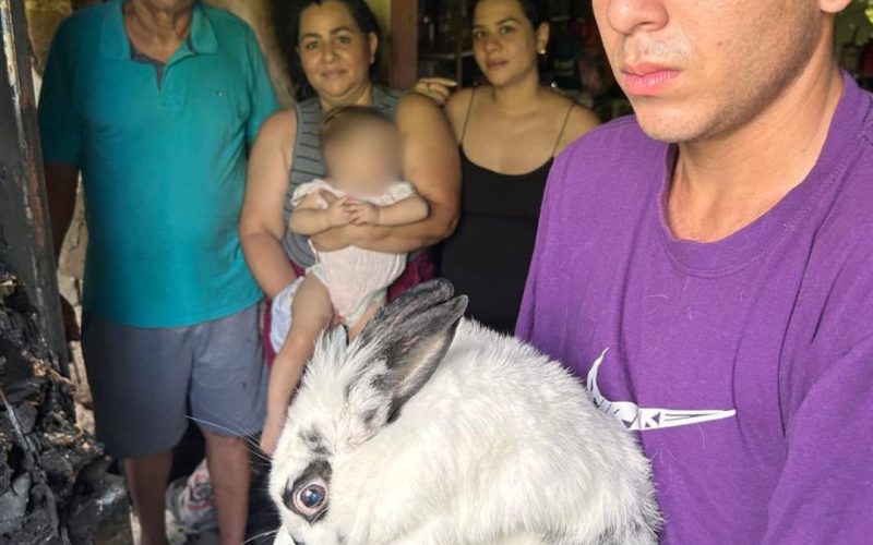 Coelha de estimação salva família de incêndio na zona Sul de Manaus