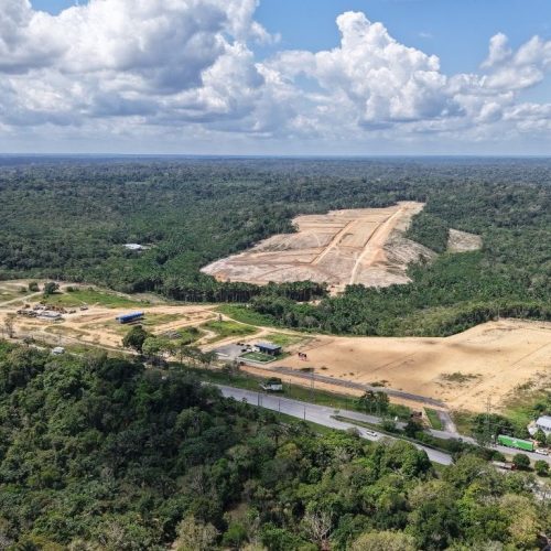 Árvores ajudam a enfrentar as altas temperaturas do Verão Amazônico