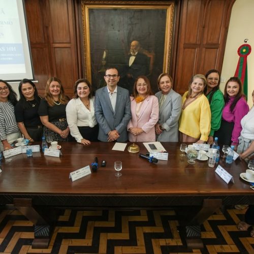Professora Maria do Carmo apresenta prévia de plano de governo em encontro com comerciantes do Estado