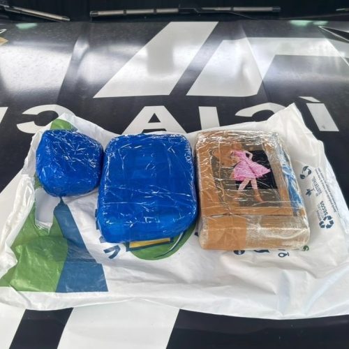 Em Borba, PC-AM prende mulher em flagrante com oxi, skunk e cocaína avaliados em R$ 52 mil