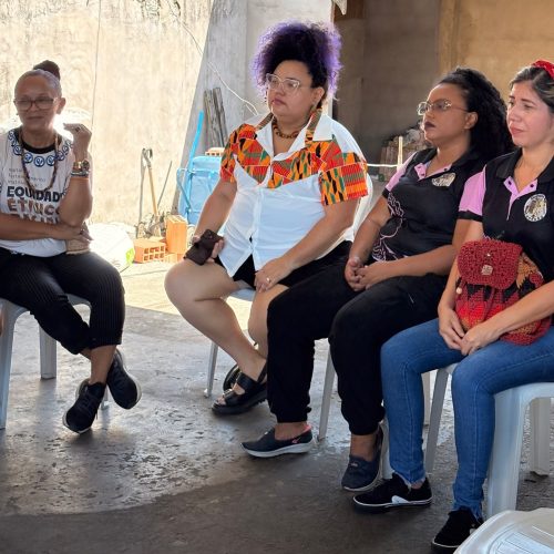 Pardos eleitorais: Michelle Andrews alerta para distorções na representatividade política